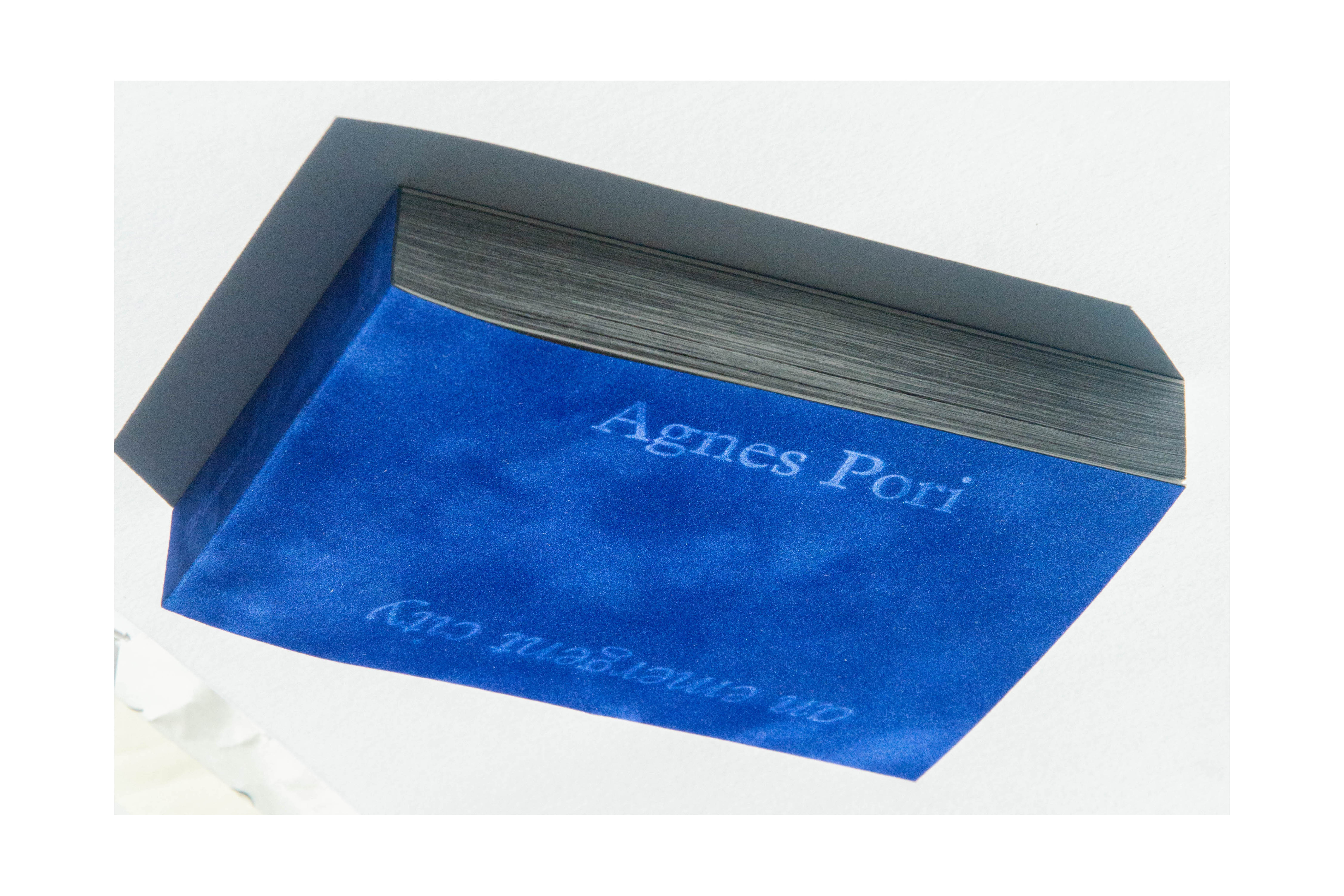 877 Agnes Pori (artist publication), for Isidro Ramirez